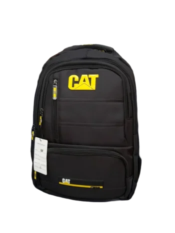 cat black